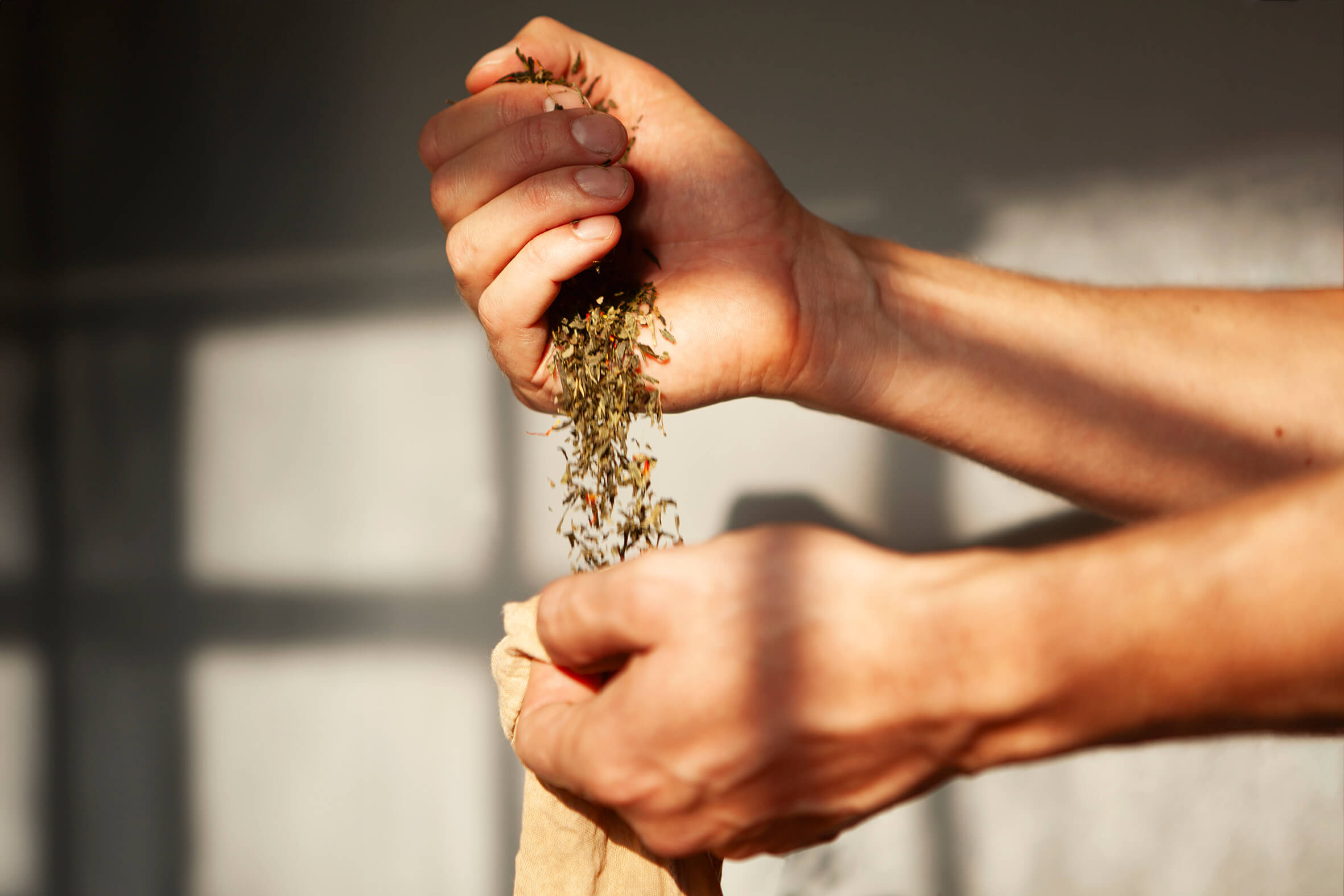 Kombucha Inc. handcrafted organic kombucha tea, brewed with care in Copenhagen’s vibrant Meatpacking district, highlighting the meticulous handbrewing process for a flavourful, all-natural beverage.