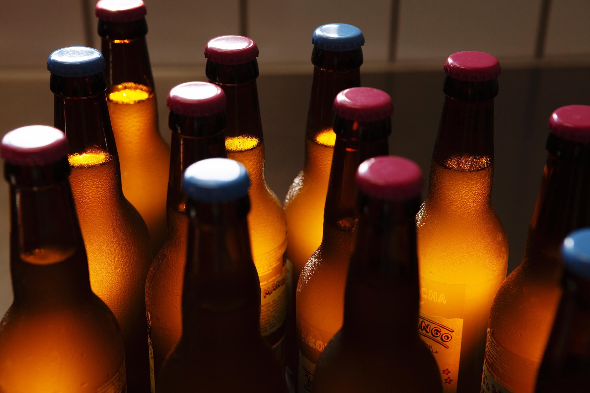 Kombucha Inc. bottles showcasing organic, handcrafted kombucha from Copenhagen’s Meatpacking district, offering a bold, crips, and low-alcohol beverage.